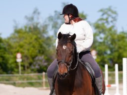 IMG_0492_web